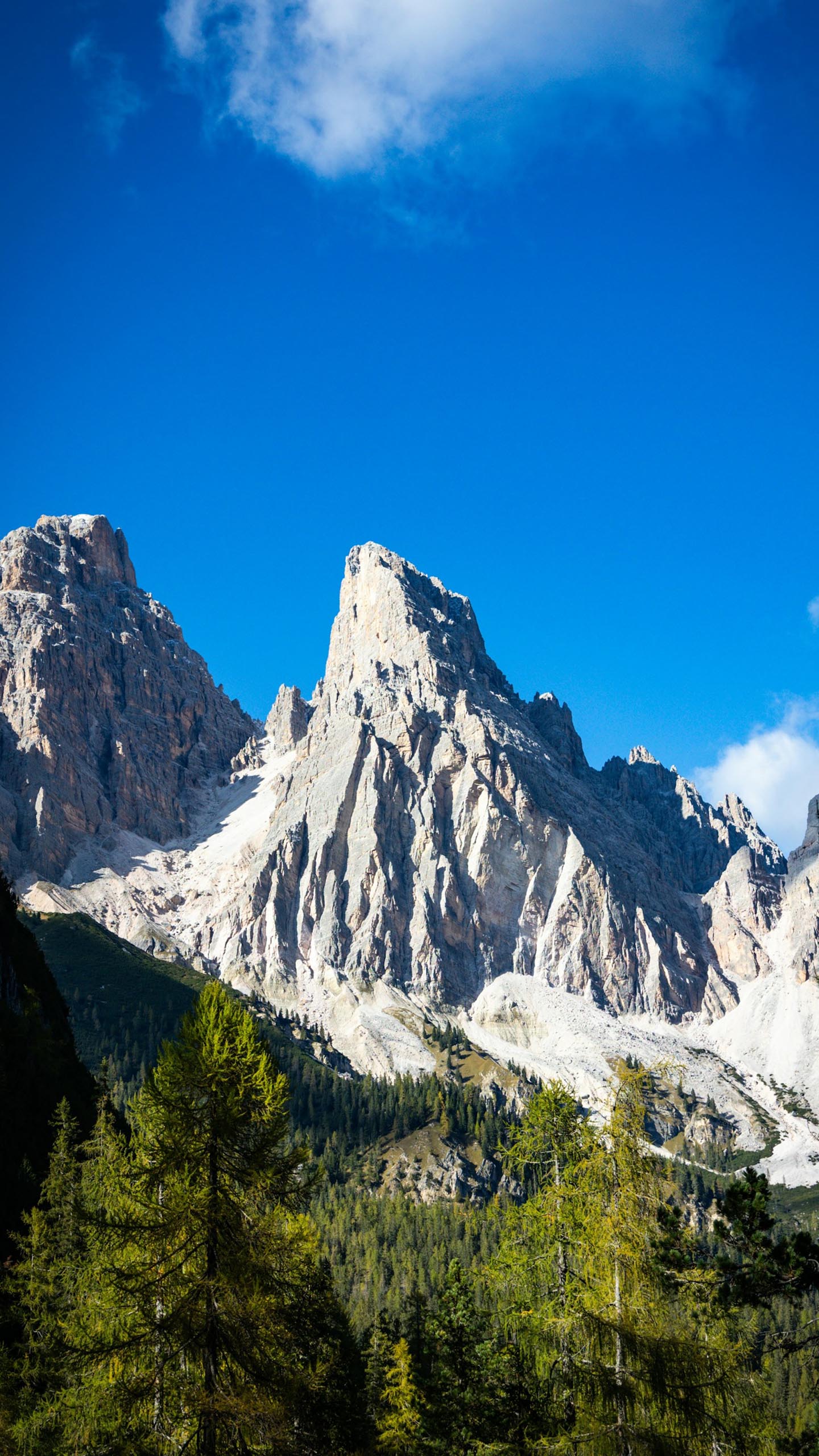 Forested Mountains