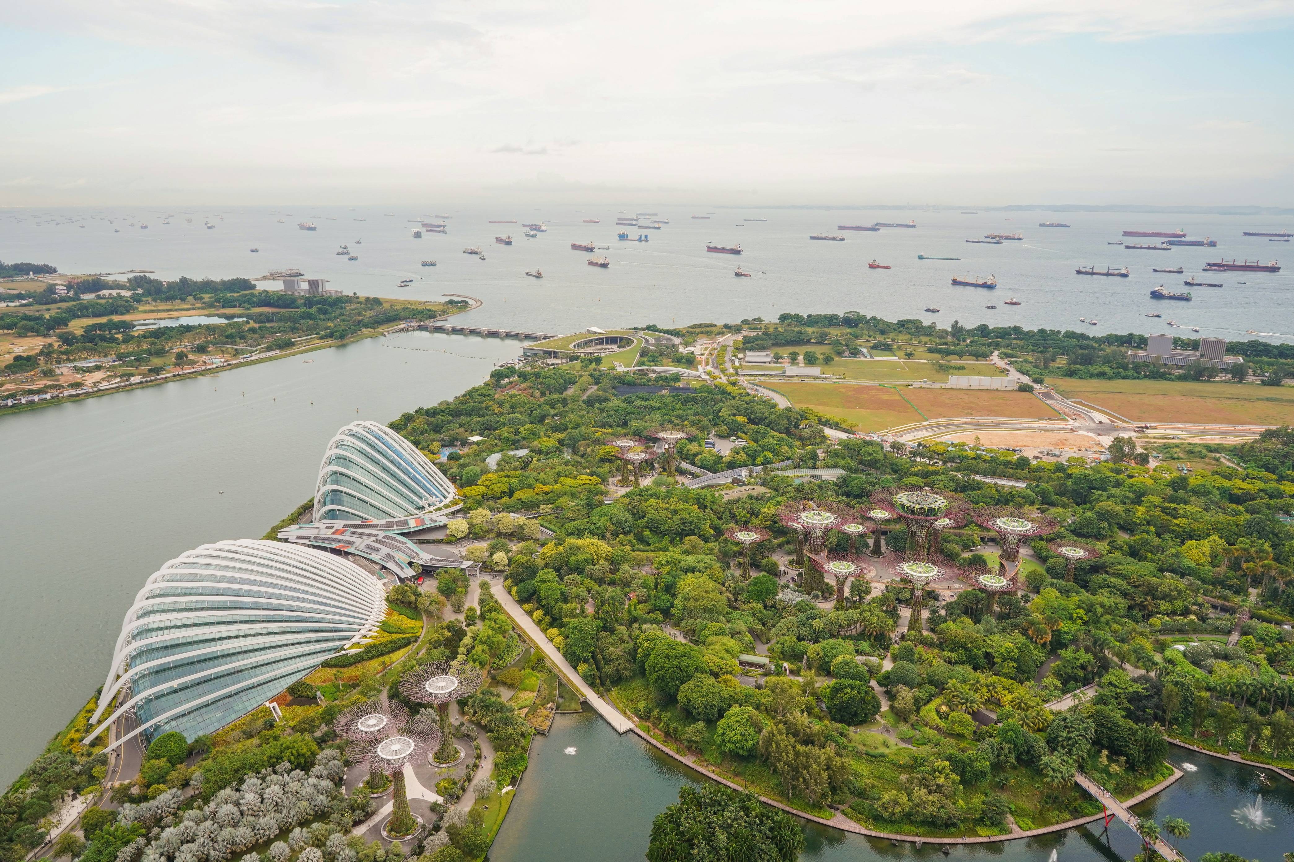 A bird's eye view of the gardens by the bay