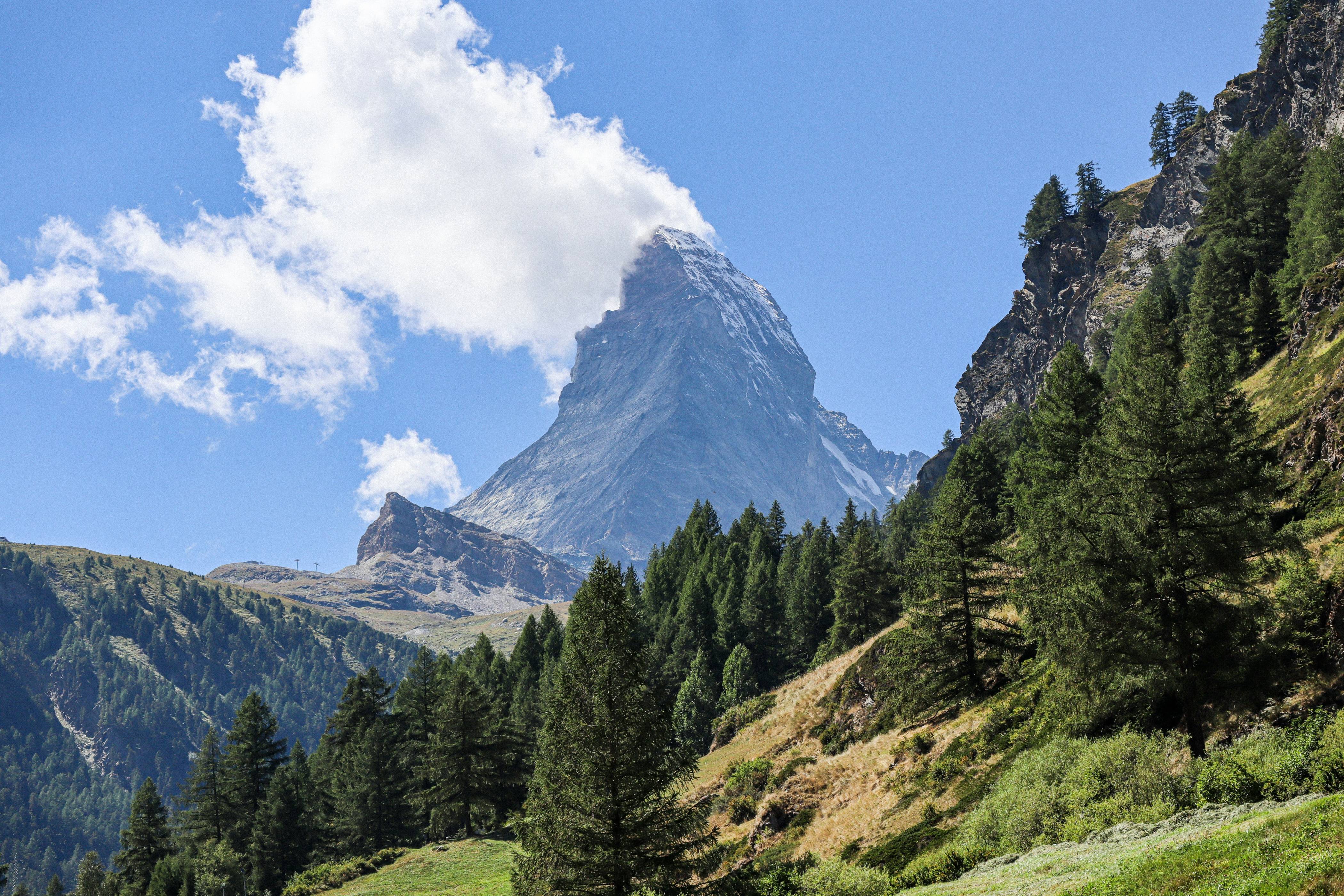 a view of a mountain with trees and grass in the foreground