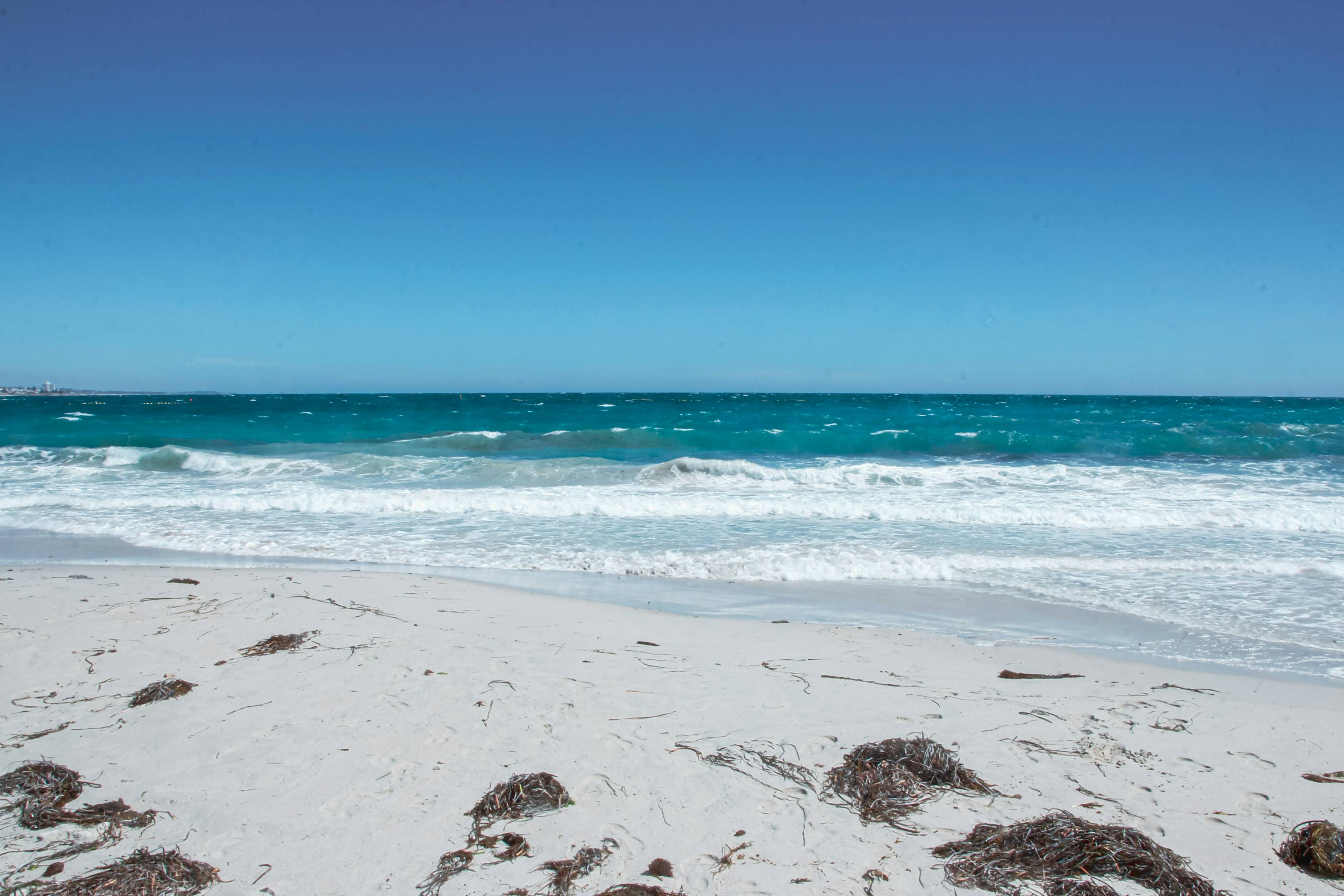 white sand beach during daytime