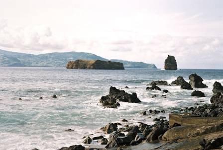 Expert Guide to Identifying Beach Rocks