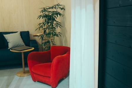 The Ultimate Guide to Selecting a Truly Comfortable Sofa