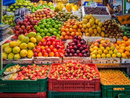 Healthy Habits: Fruits and Vegetables as Allies for Weight Management