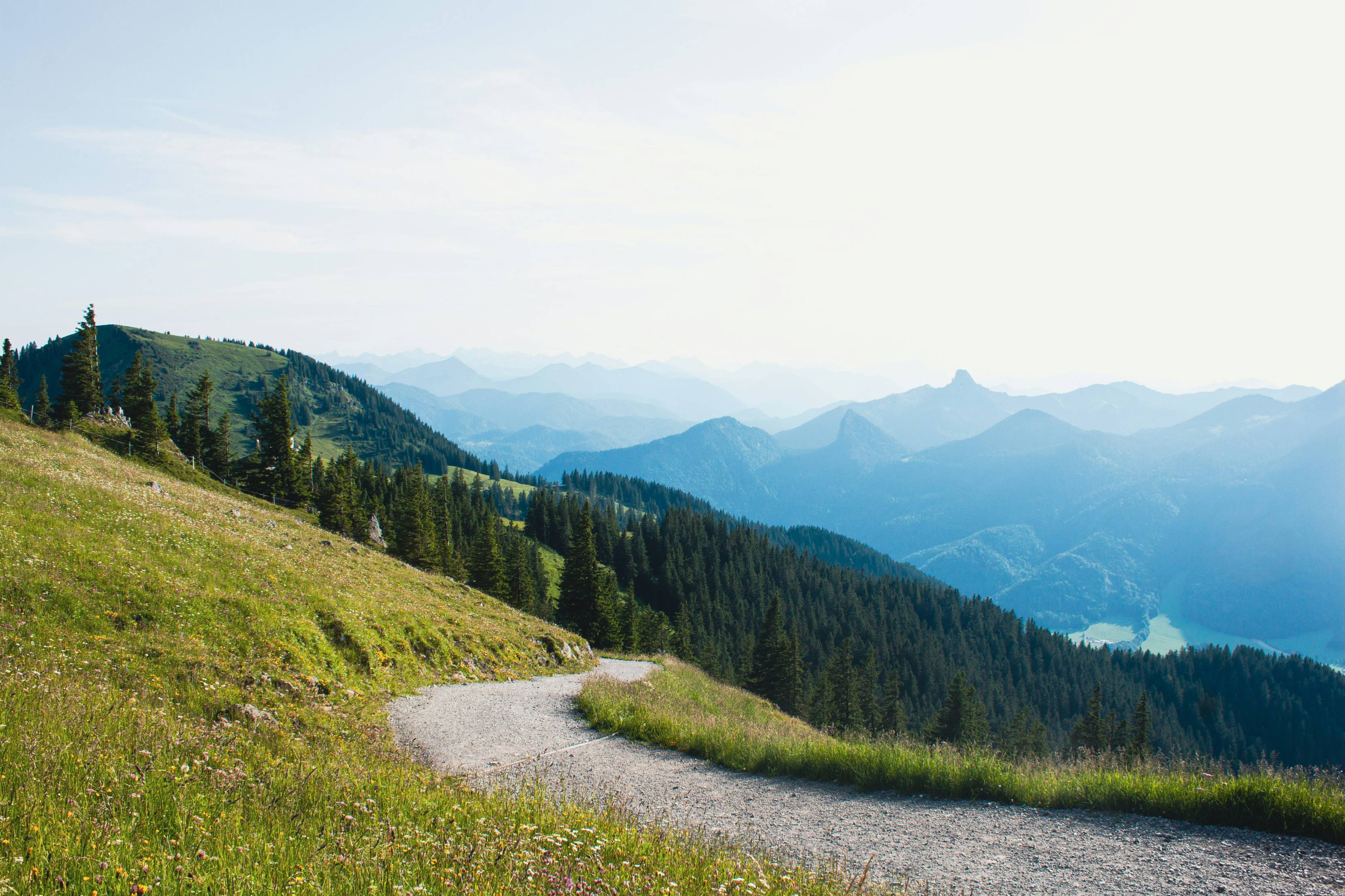 green trees on mountain under white sky during daytime