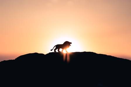 The Zodiac Sign Leo Symbol - Personality, Strengths, Weaknesses